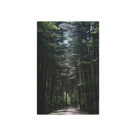 Guiding Light, Forest Path Metal Art Sign, Nature Wall Decor, Outdoor Enthusiast Gift, Rustic Home Decoration, Unique Gift for Nature Lovers