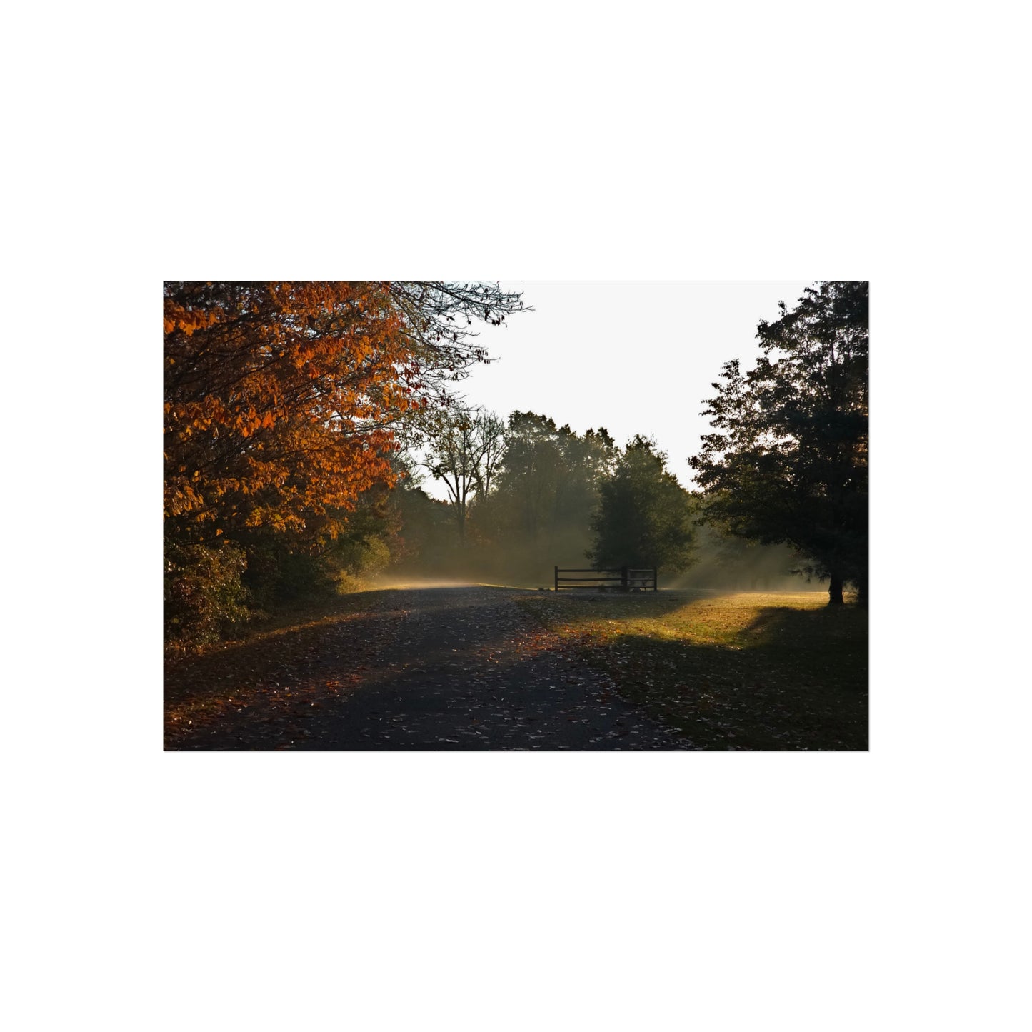 Light Breaking Through