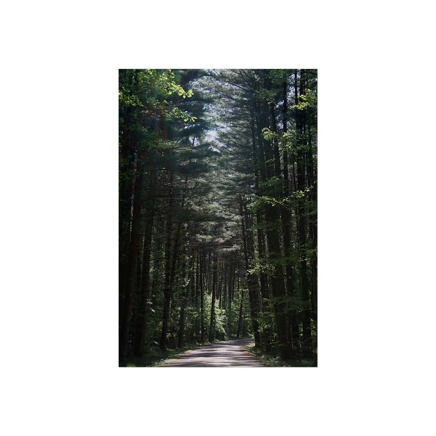 The Road Through