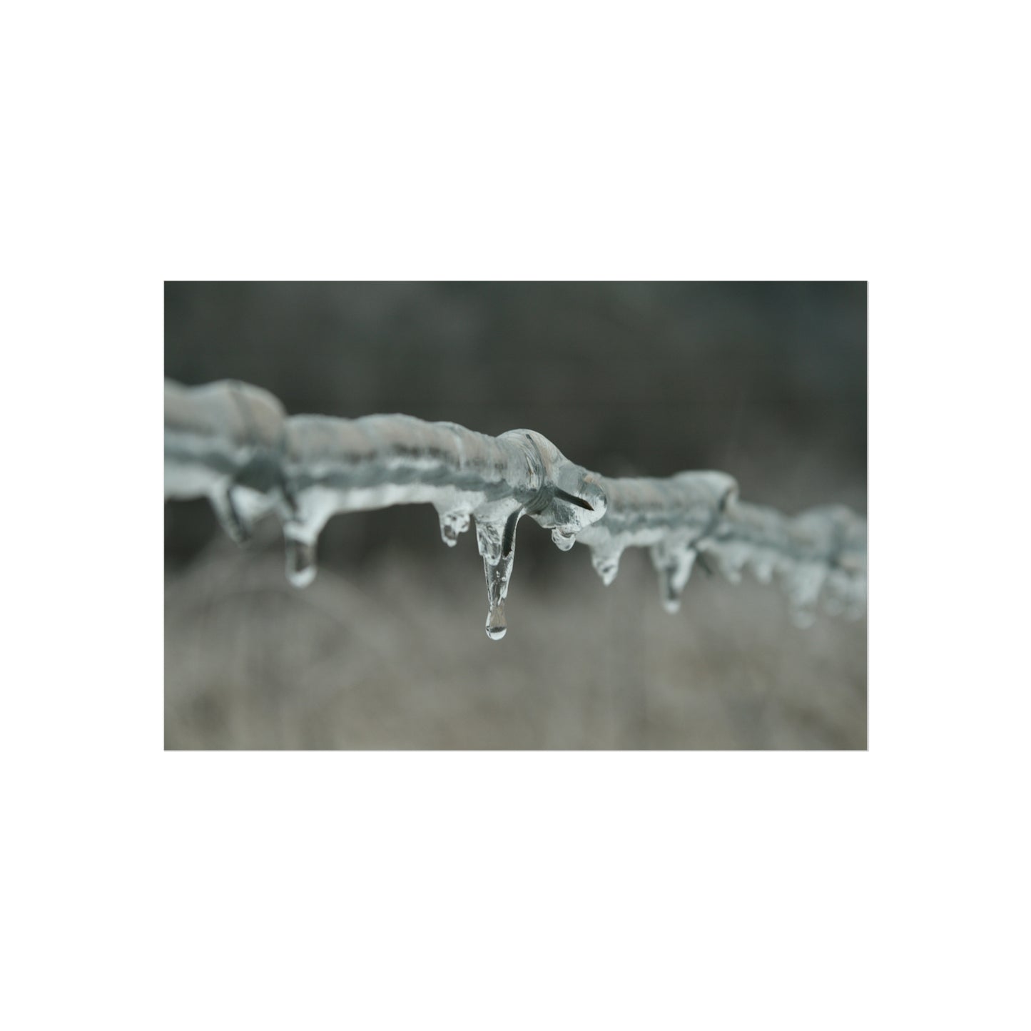 Ice On Barbed Wire Fence
