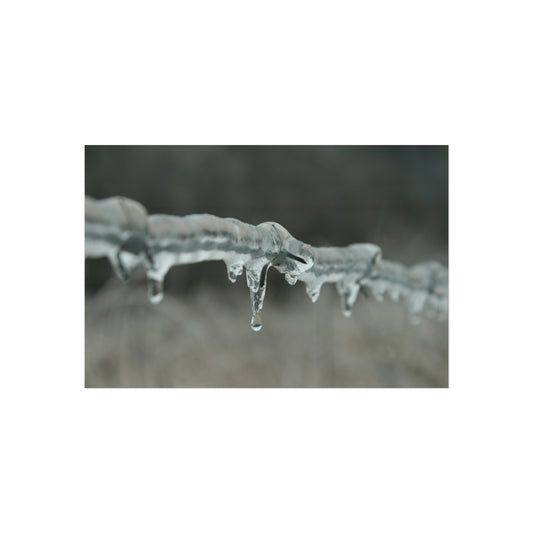 Ice On Barbed Wire Fence